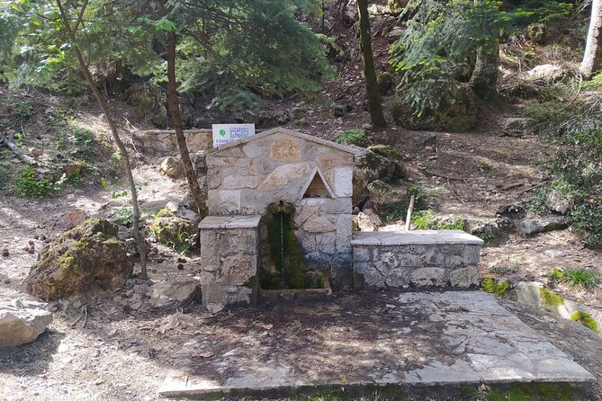 1 Day Parnitha Athens Private Hiking Tour with Hotel Pickup - Parnitha National Park: Athens, But Cooler and Quieter