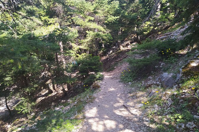 1 Day Parnitha Athens Private Hiking Tour with Hotel Pickup - Price and value: $180.23 for a private day that runs smoothly