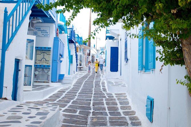 13 Day Private Tour in Ancient Greece with Mykonos & Santorini - Optional Delos Cruise: Apollo and Artemis Without the Full-Day Commitment