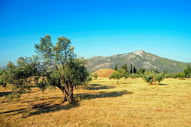 2 Days Herodotus Tour - Marathon, Thermopylae, Delphi, Thebes, Plataea, Salamis - Thebes’ museum and why you shouldn’t skip it