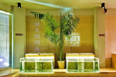 20-Minutes Natural Pedicure with Exotic Fish - Key things to know before you go
