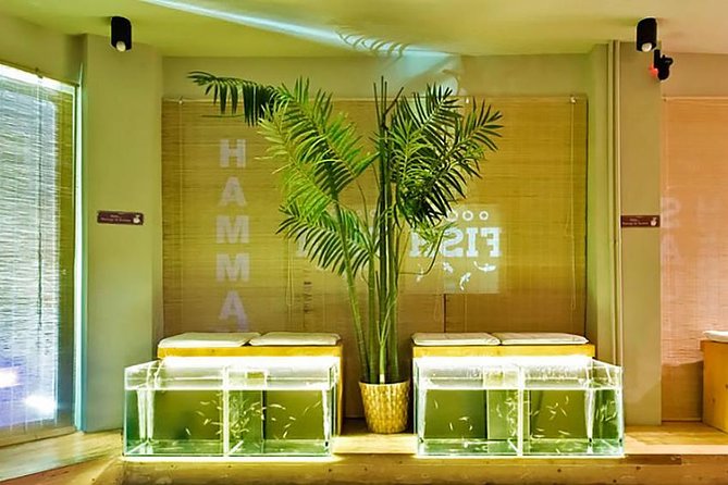 20-Minutes Natural Pedicure with Exotic Fish - Key things to know before you go