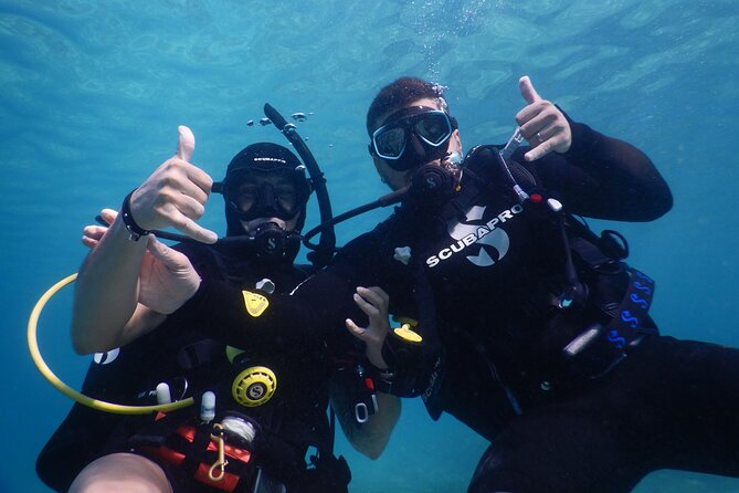 3 Hour Private Scuba Diving Experience - A 3-Hour Private Session That Helps You Feel Ready