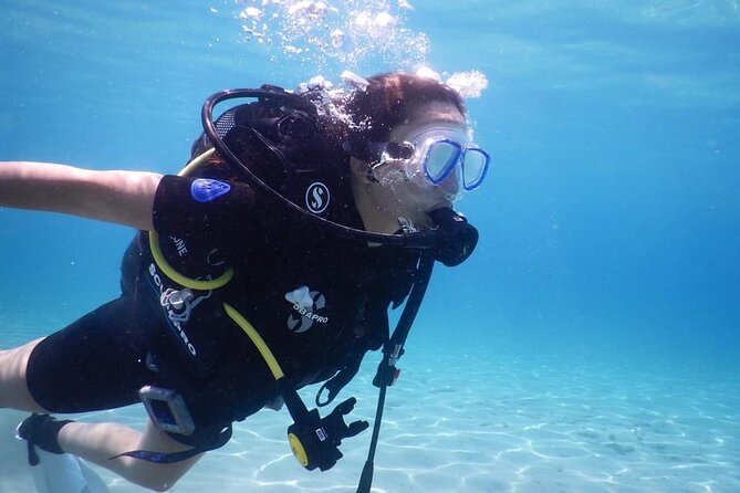 3 Hour Private Scuba Diving Experience - Step Three: Guided Underwater Exploration and What You May See