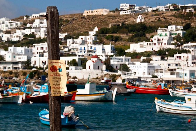 4 Nights in the Greek Islands from Athens: Santorini, Mykonos and Syros - Which traveler fits this trip best?