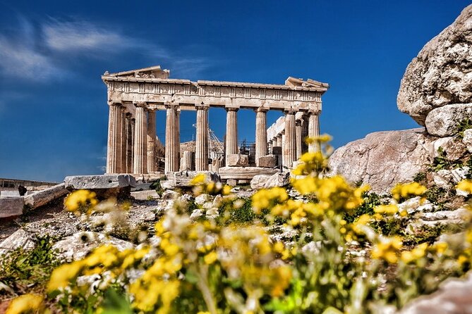 Acropolis and Agora Tour: The Rise & Fall of Democracy - The guide matters most on a democracy-focused tour