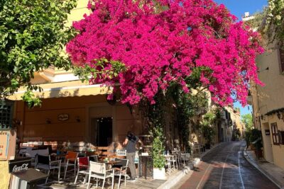 Acropolis & Plaka Neighbourhood Private Tour with Licensed Expert - Meeting on Makrygianni: getting oriented before the main sites