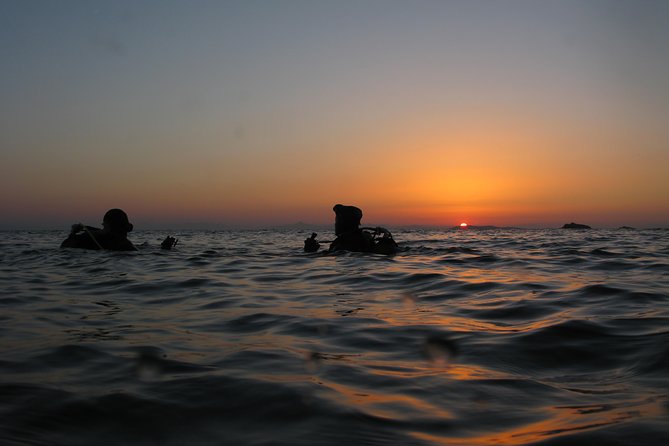 Adventure Dives for Certified Divers in Nea Makri, Athens - Key points worth knowing before you go