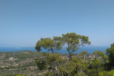 Aegina Island St Nektarios & Temple of Athina Aphaia Private Tour - Stop 1: Aegina waterfront and the “welcome” loop