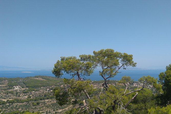 Aegina Island St Nektarios & Temple of Athina Aphaia Private Tour - Stop 1: Aegina waterfront and the “welcome” loop