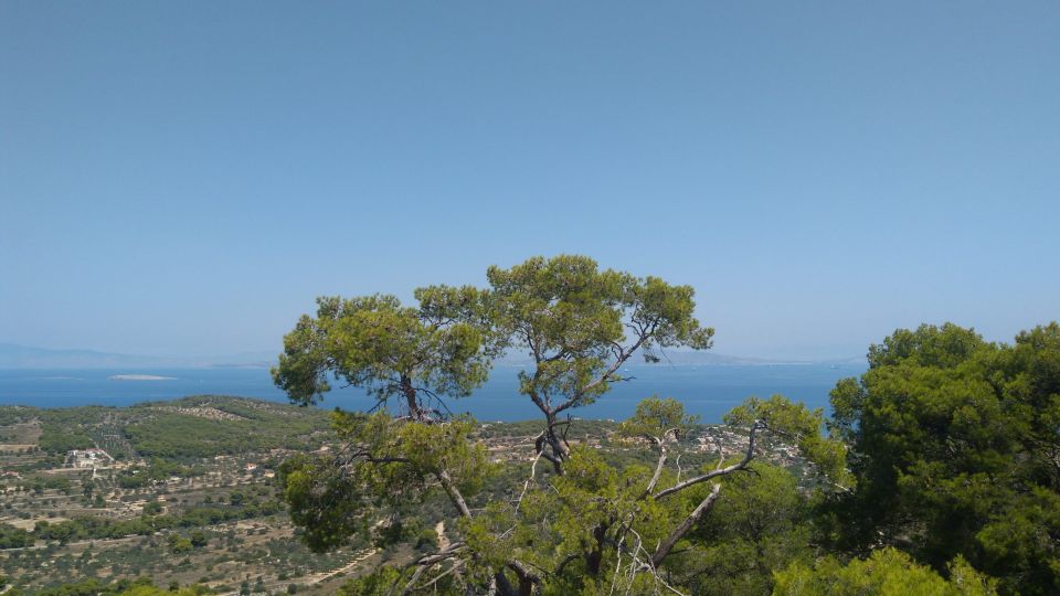 Aegina Island & Temple of Athina Aphaia Private Day Tour - Perdika fishing village: the lunch you’ll actually enjoy