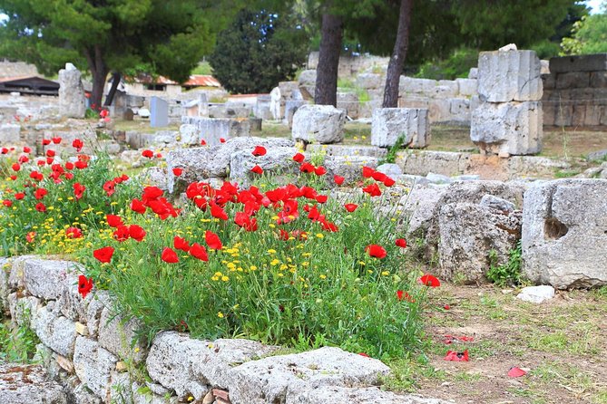 Ancient Corinth & Nafplion One-Day Tour from Athens - The Morning Transfer: Sacred Way to the Isthmus of Corinth