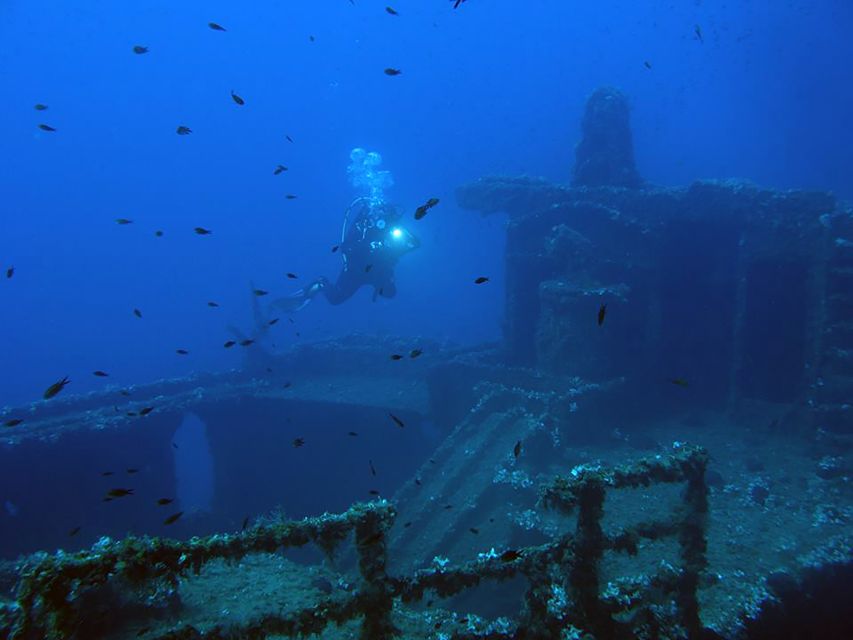 Athens: Adventure Dives in Nea Makri for Certified Divers - The instructor experience: guidance without turning it into a class