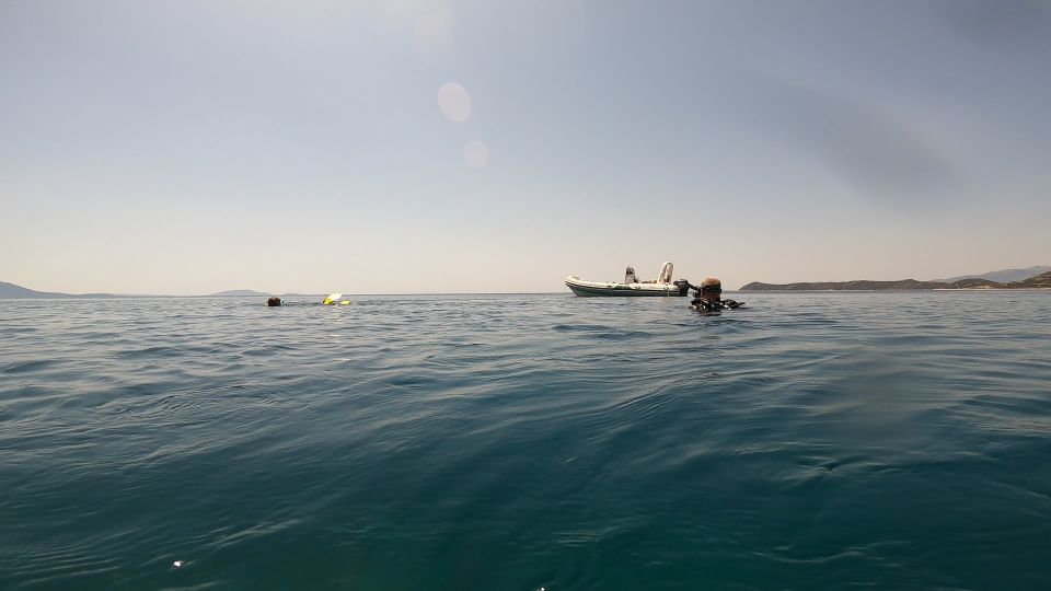 Athens: Adventure Dives in Nea Makri for Certified Divers - The pacing: two underwater sessions and a comfortable 1.5-hour break