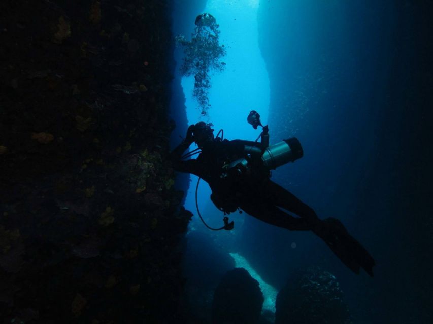 Athens: Adventure Dives in Nea Makri for Certified Divers - Shore option vs boat option: what you should choose