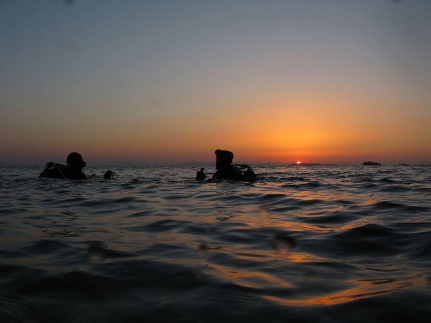 Athens: Adventure Dives in Nea Makri for Certified Divers - Who this is best for (and who should skip it)