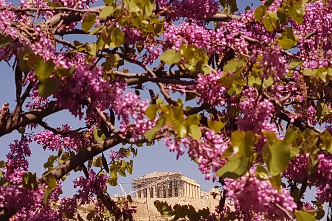 Athens Airport to Nafplio Private Transfer - Meeting your driver: sign pickup, English help, and luggage time-savers
