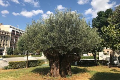 Athens by E-Bike: Monuments, Food & Transfers (Cruise Tour) - Roman Agora and the old-town ride: more seeing, less waiting