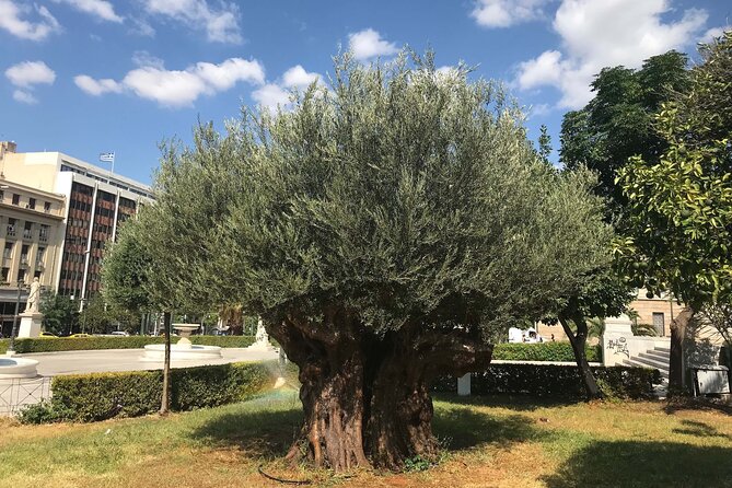 Athens by E-Bike: Monuments, Food & Transfers (Cruise Tour) - Roman Agora and the old-town ride: more seeing, less waiting