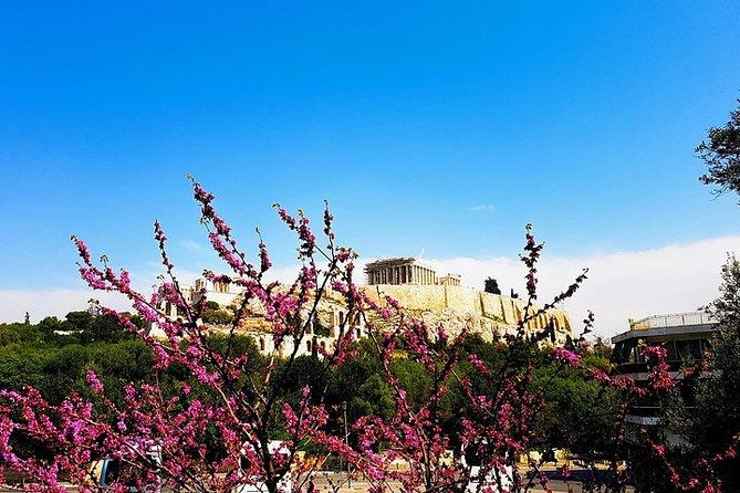 Athens city private tour - Temple of Olympian Zeus: marble scale in a short 30 minutes