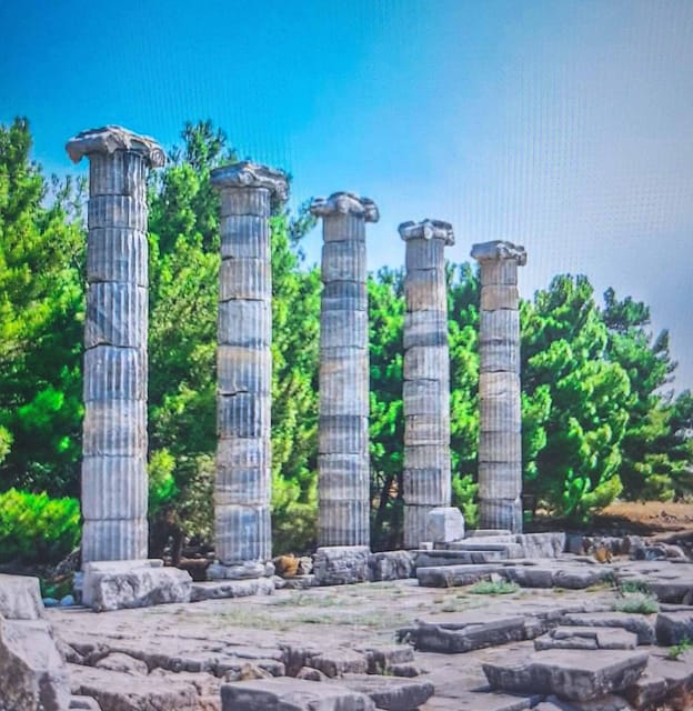 Athens: Corinth Canal and Ancient Olympia Private Trip - Museums on Your Schedule: How to Choose What You’ll Actually Care About