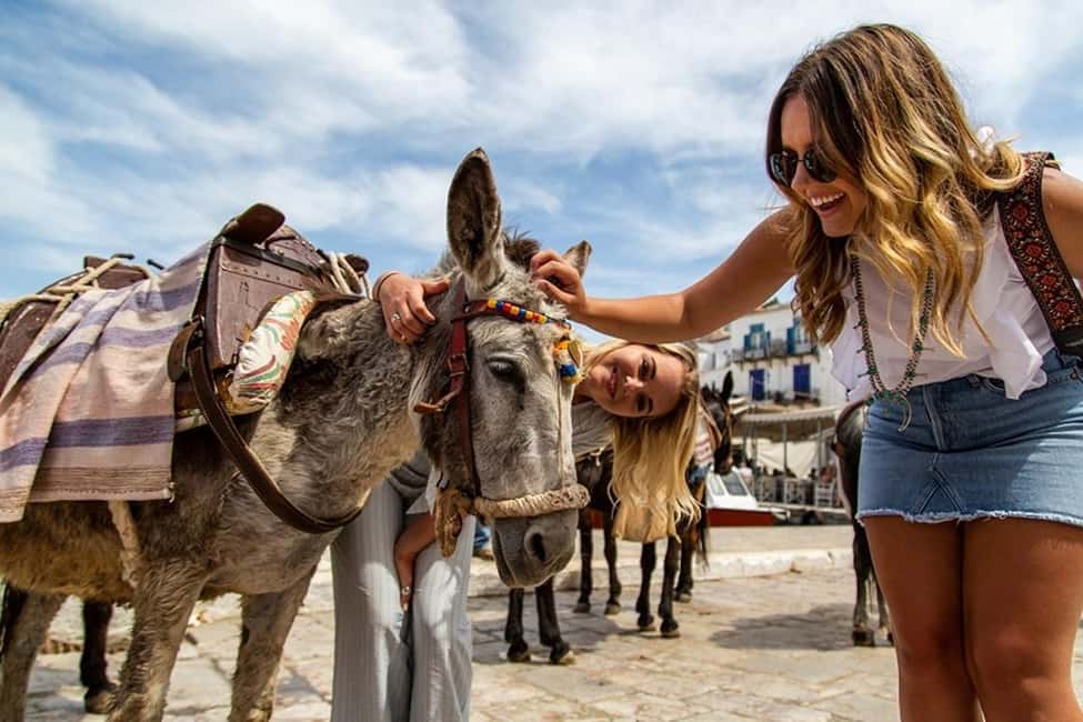 Athens Day Cruise – Since 1965 | Visit Hydra, Poros & Aegina - Lunch onboard: what you’re actually eating during the cruise