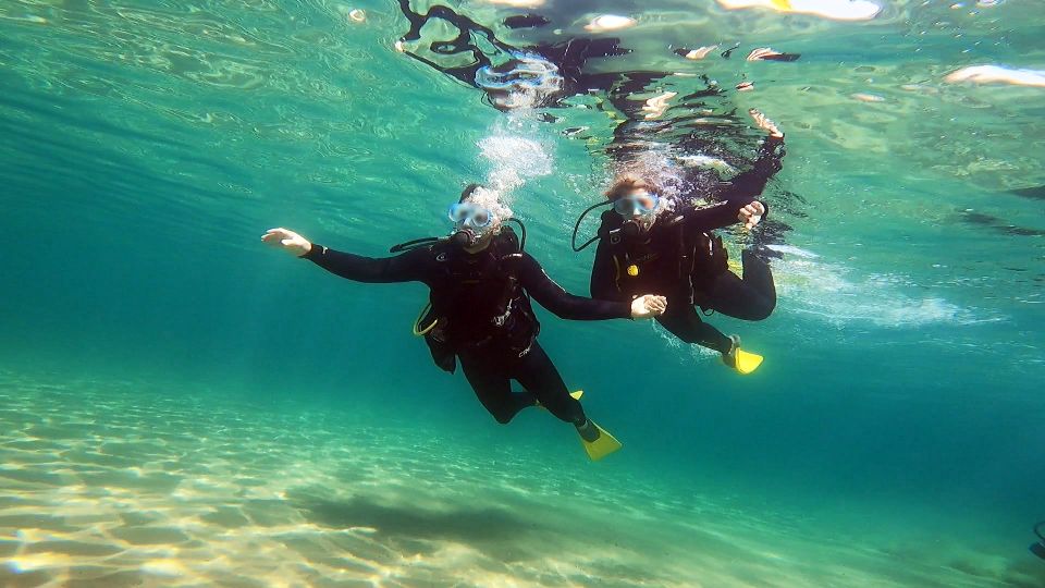 Athens East Coast: Discover Scuba Diving in Nea Makri - Key Points at a Glance