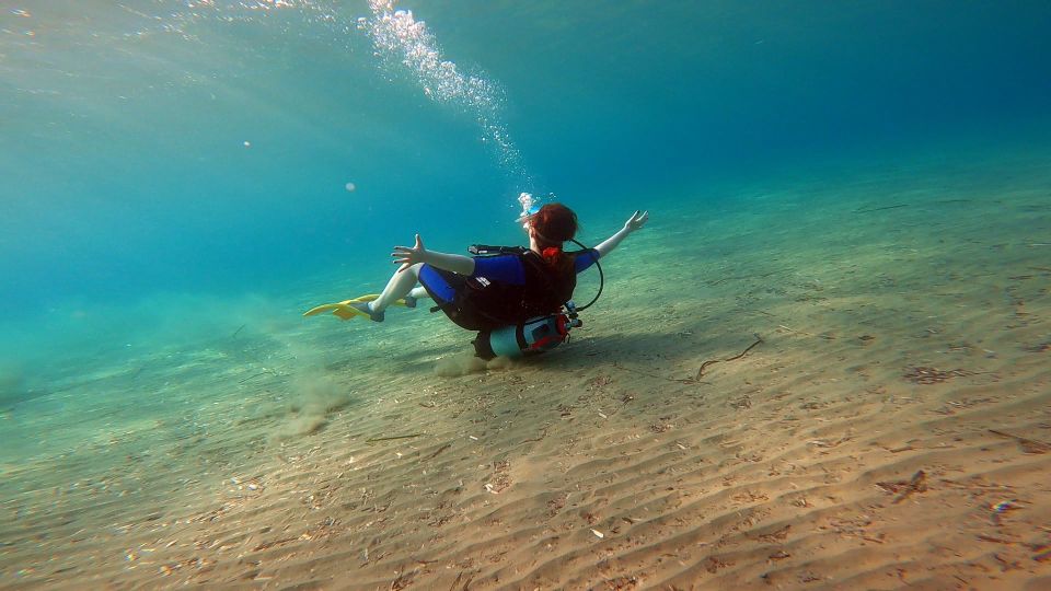 Athens East Coast: Discover Scuba Diving in Nea Makri - What You Can Expect to See Underwater in Warm, Clear Water