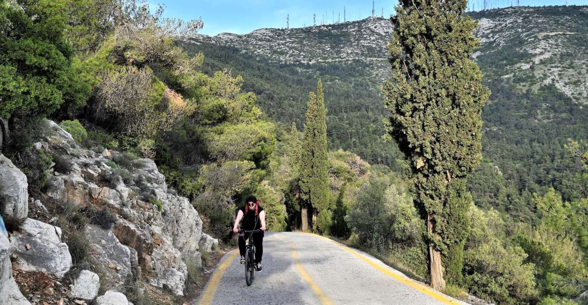 Athens: Electric Bicycle Tour to Mount Hymettus - The climb: a winding paved road through wooded slopes
