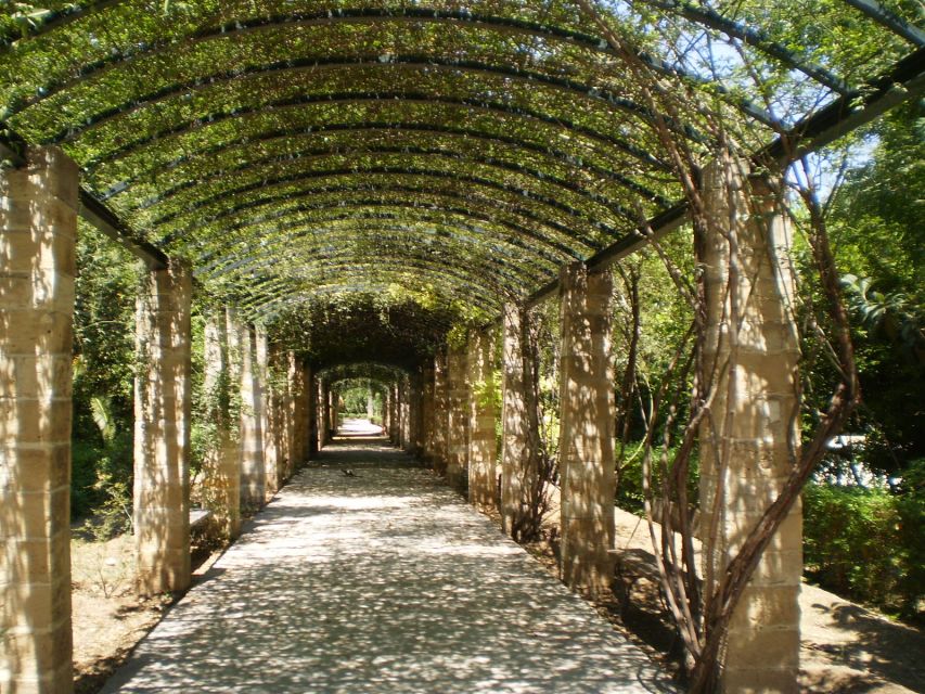 Athens: National Garden 2-Hour Segway Tour - Key takeaways before you ride