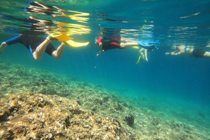 Athens, Nea Makri: Guided Small Group Snorkeling Boat Excursion - Stop 1: Paralia Marathona and the Marathon Cape snorkeling area