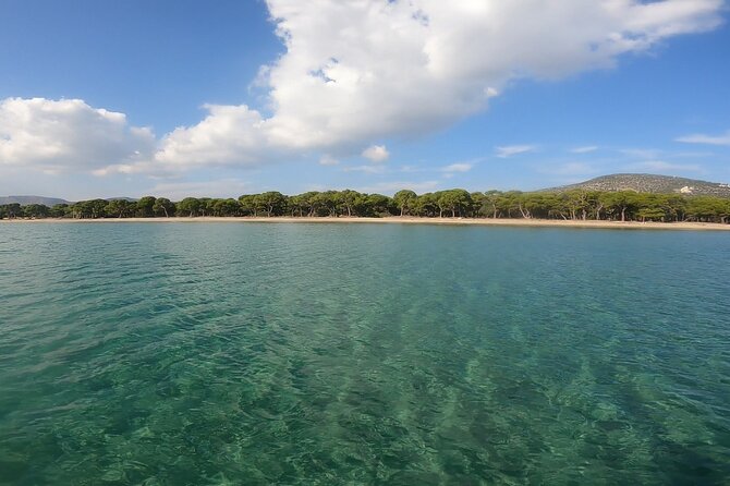 Athens, Nea Makri: Guided Small Group Snorkeling Boat Excursion - How Dimitrios keeps the group happy from ages 6 to 78
