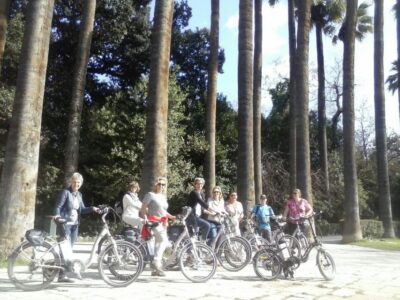 Athens: Old Town Electric Bike Tour with Local Mezes - From National Observatory photo stop to ancient Athens highlights