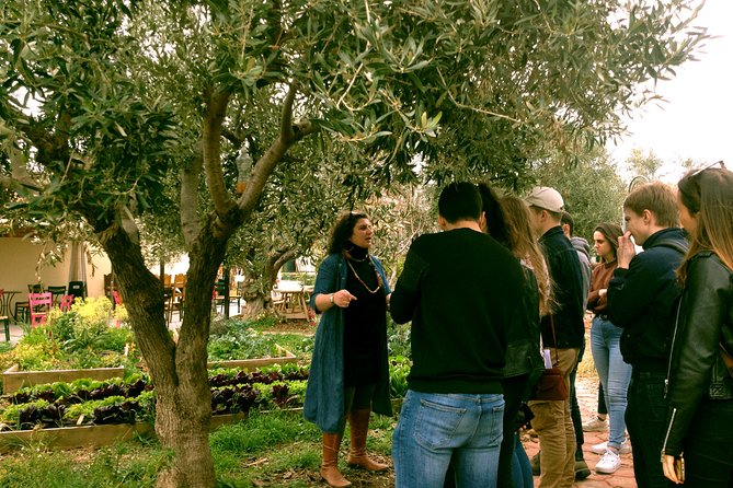 ATHENS OLIVE ESTATE - Olive Oil Workshop with Farm-to-Fork Lunch - Price and value: is $568.31 per person actually fair?