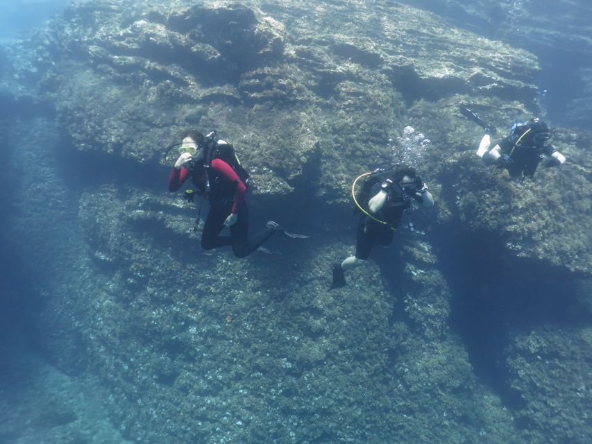 Athens: Private Discover Scuba Diving for Beginners - Instructor-led skills, safety routines, and gear that’s actually used