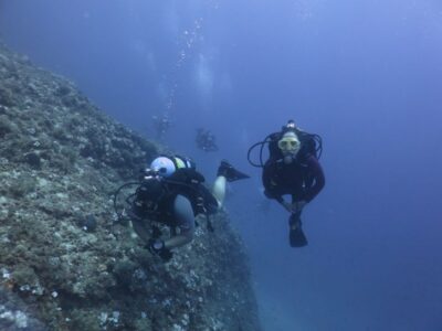 Athens: Private Discover Scuba Diving for Beginners - Athens’ warm, clear coastline: what you’ll likely see underwater