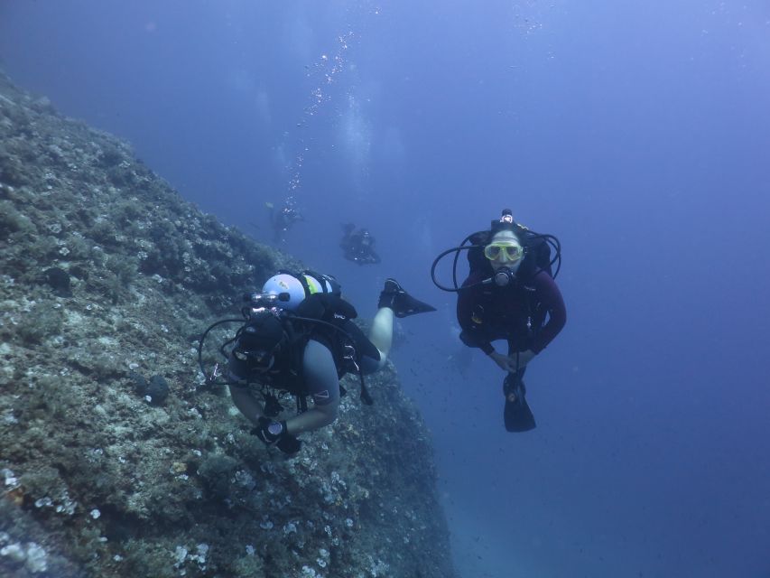Athens: Private Discover Scuba Diving for Beginners - Athens’ warm, clear coastline: what you’ll likely see underwater