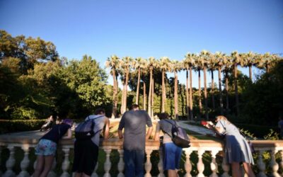Athens: Private Evening City Walk & 4-Course Curated Dinner - Plaka and Dionysiou Aeropagitou: Getting Acquainted Before the Big Sights