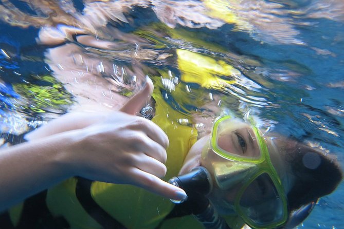 Athens Private Snorkeling and Swimming Cruise with pick up - Key things you’ll notice on this cruise