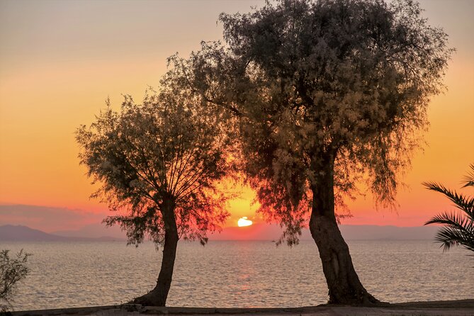 Athens Riviera: Poseidon Temple, Springs & Lake Vouliagmeni Tour - Beach-day logistics: drinks, snacks, and how to handle lunch-less timing