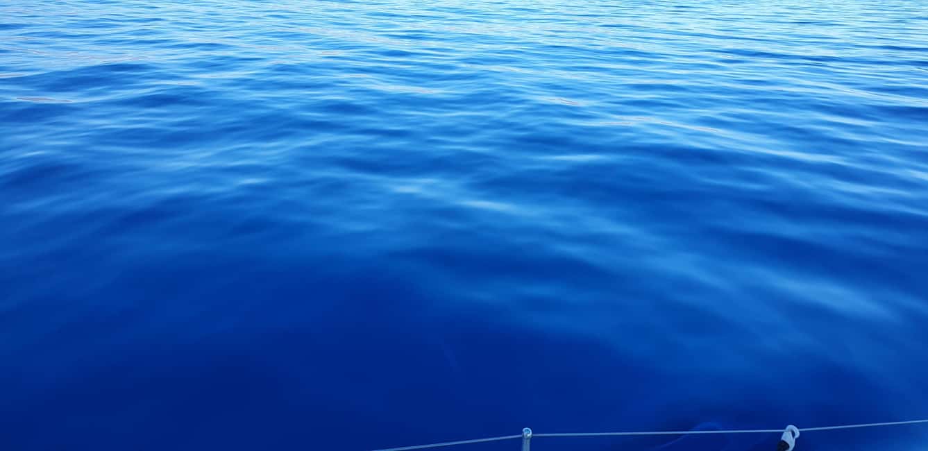 Athens Riviera Private Catamaran Cruise with Meal and Drinks - Should you book this? My quick decision guide