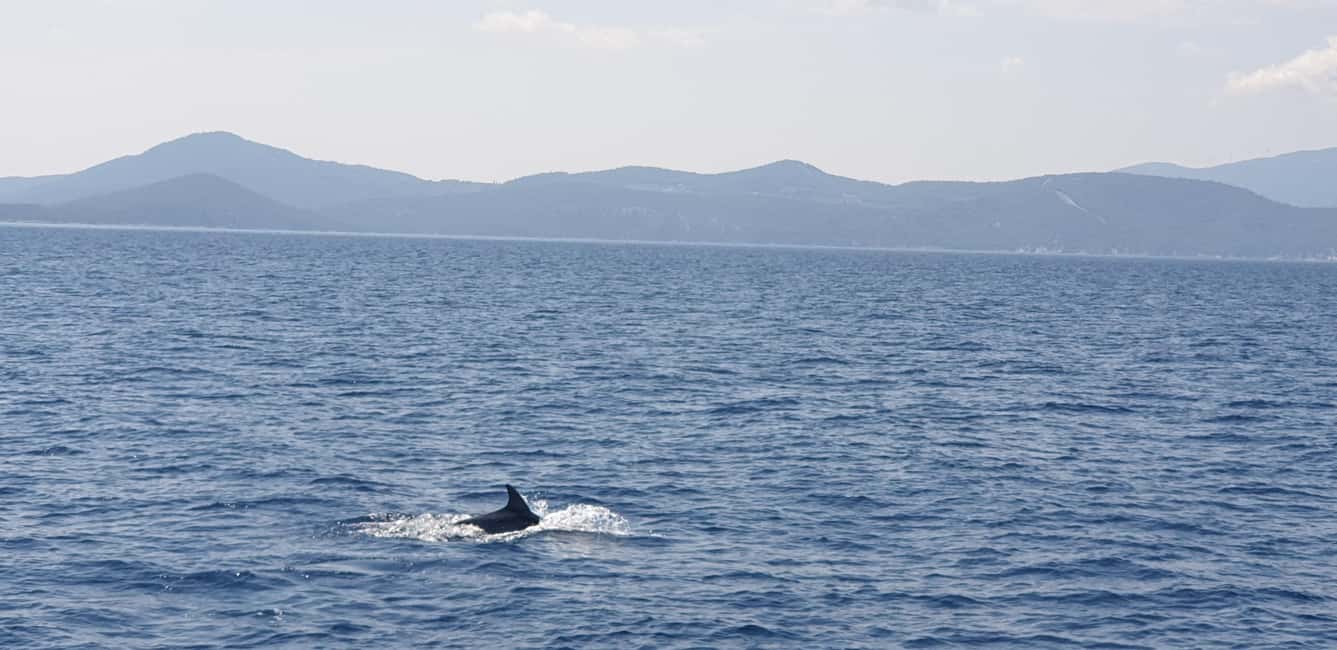 Athens Riviera Private Catamaran Cruise with Meal and Drinks - Your 5-hour plan: Pier 7, Alimos Marina, and two major coastal stops