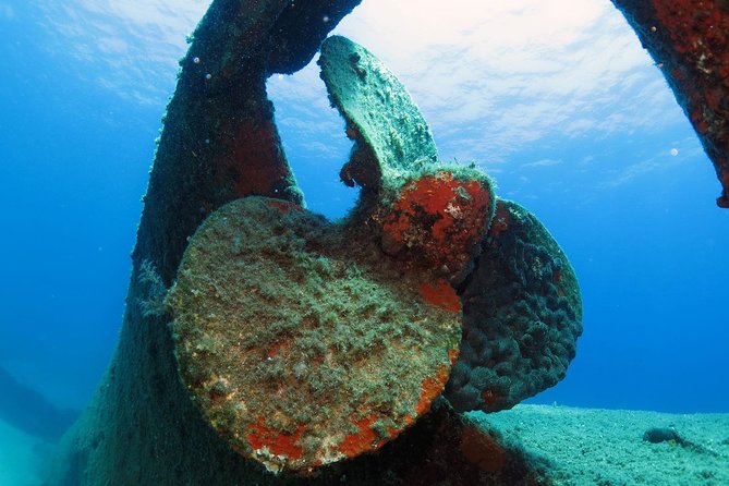 Athens Scuba Diving Experience for Certified Divers with Pickup - Vouliagmeni’s Blue Hole: Why This Site Fits Open Water Certification