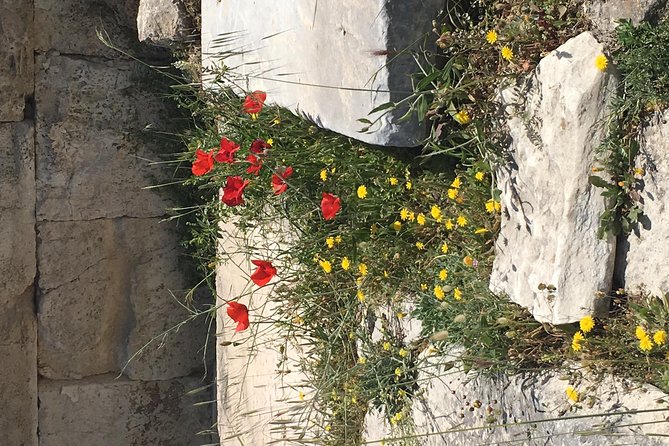 Athens Shore Excursion: Private City Sightseeing and Acropolis Tour - What’s included (and why that matters on a shore day)