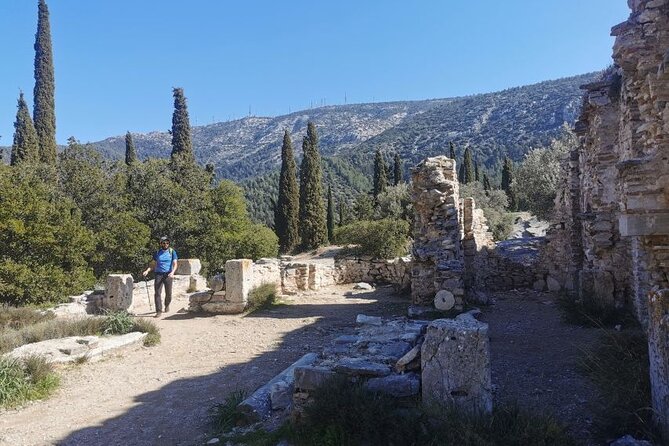 Athens Sunset Hymettus Mountain Hike - Pine trails and “why this mountain matters” moments