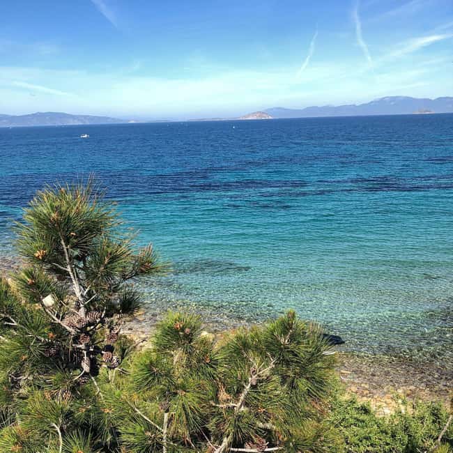 Athens to Aegina: Greek Island Escape & Swim Day Trip - Aegina Town: Venetian-Influenced Streets, Harbor Food, and Pistachio Tastings