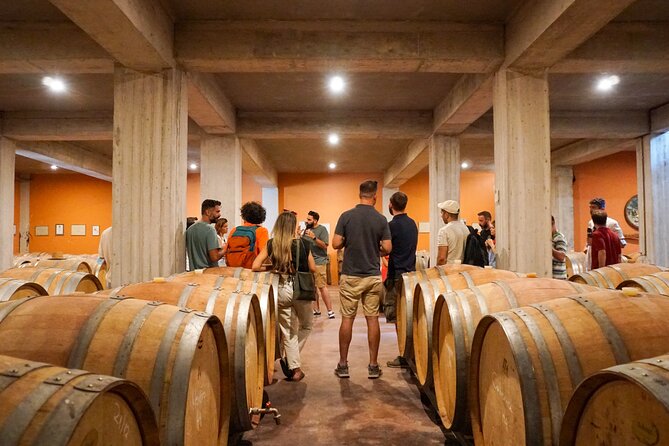 Athens to Nemea Wine Experience Tour - Stop 1: Koutsi Winery and Your Big First Tasting