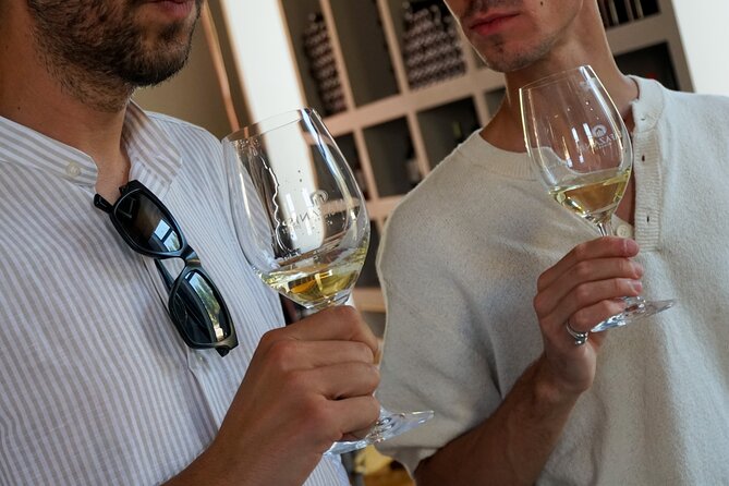 Athens to Nemea Wine Experience Tour - The 10+ Wine Tasting Setup (and How to Make It Worth It)