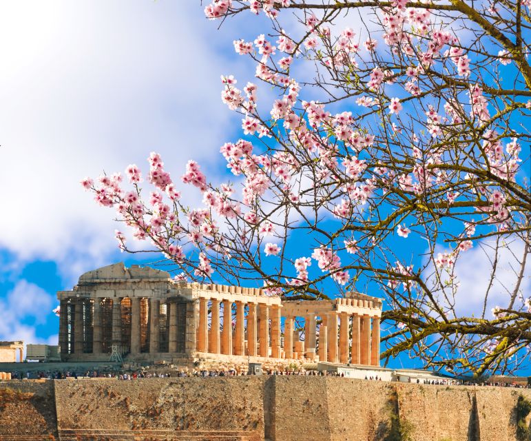 Athens: Top Sights Private Half-Day Tour - How the Private Setup Works in Five Hours