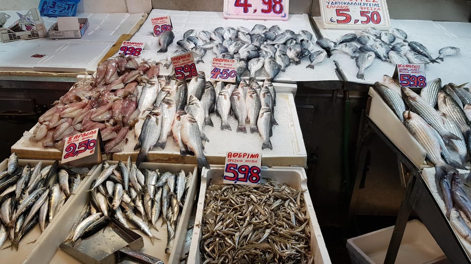 Athens: Traditional Greek food tour in hidden spots - Olive oil lessons: how to judge quality before you buy